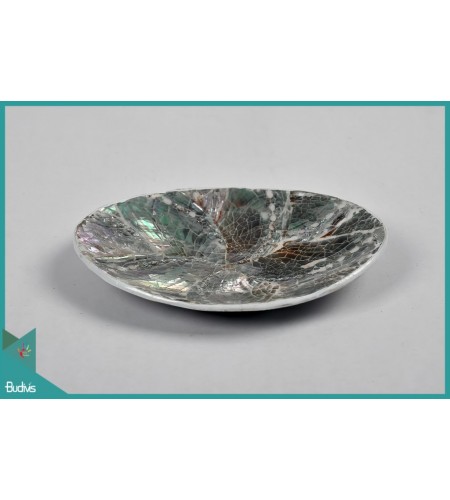 Collections Seashell Plate Decorative Craft