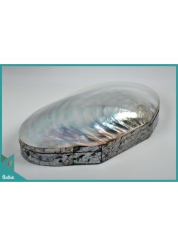wholesale Manufacturer Seashell Jewelry Case Box Handmade, Home Decoration