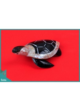 wholesale Manufacturer Seashell Turtle Pendants Decorative Production, Home Decoration