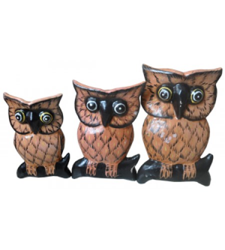 Owl Home Decor Set
