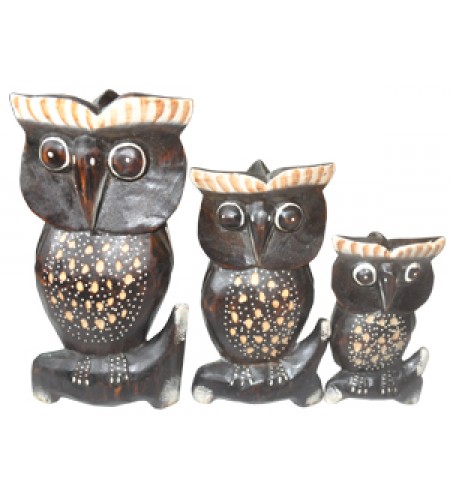 Owl Home Decor Set