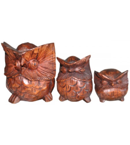 Owl set of 3 Animal Statue