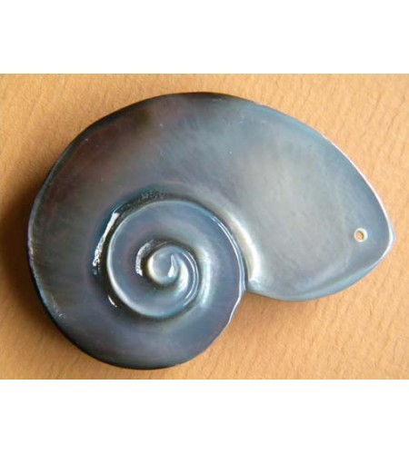 Seashell Pendant Accessory