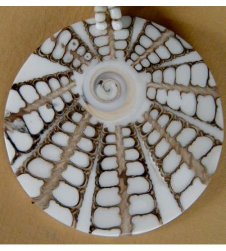 Seashell Pendant Jewellery