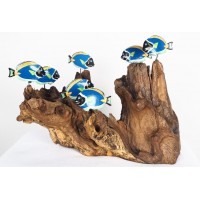 Under the Sea: Using Driftwood Fish to Create a Beachy Vibe in Your Home