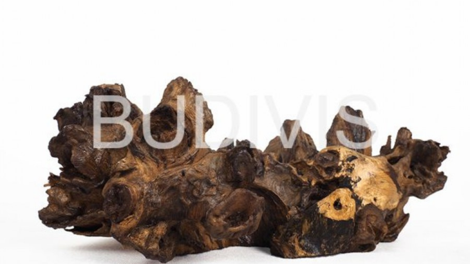 Wholesale Driftwood: Unleashing the Natural Beauty in Your Décor