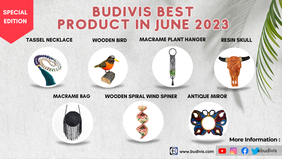 Budivis Best Product in June 2023