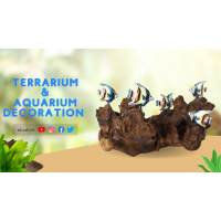 Exploring the World of Wholesale Terrarium and Aquarium Decorations