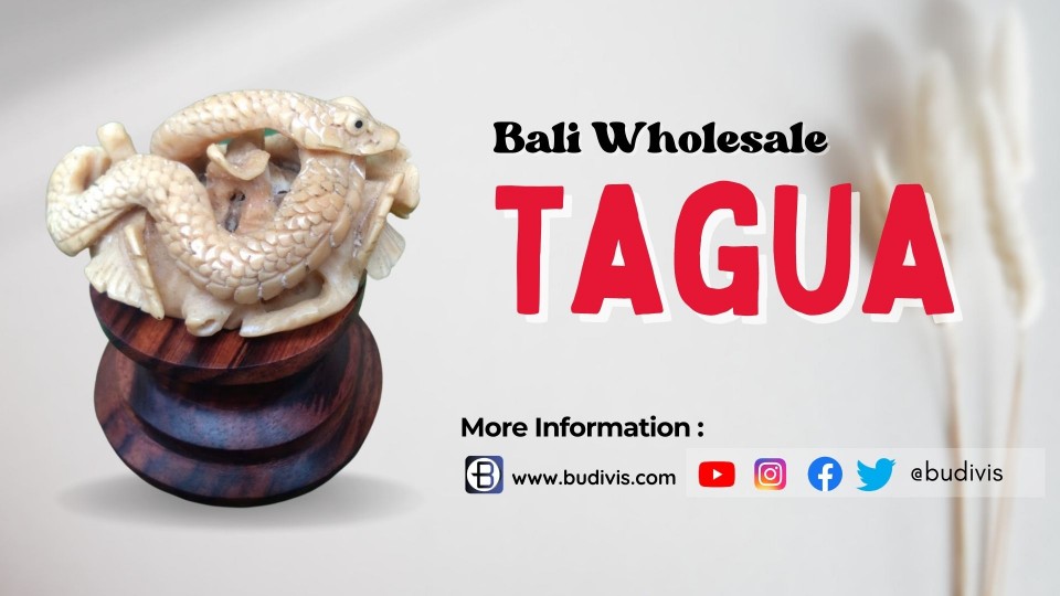The Allure of Wholesale Tagua: A Look into its Unique Characteristics