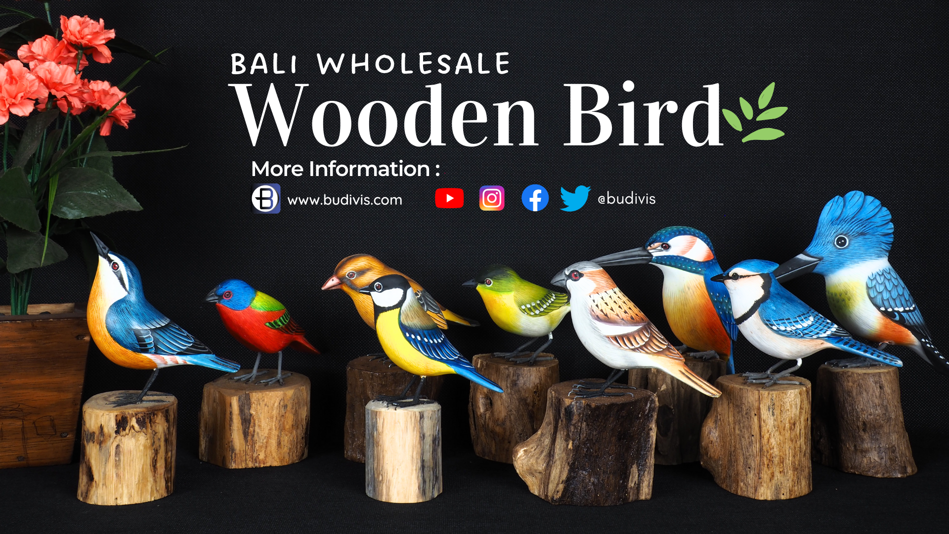 https://www.budivis.com/image/cache/catalog/A%20Blog/A%20blog%20pic/new/Wooden%20Bird-1920x1080.png