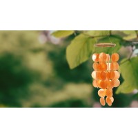 Creating a Stunning Capiz Windchime for Your Outdoor Space