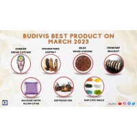 Budivis Best Product in March 2023