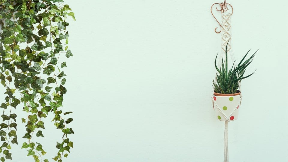 Why Macrame plant holders Are Perfect for Any Room In The House