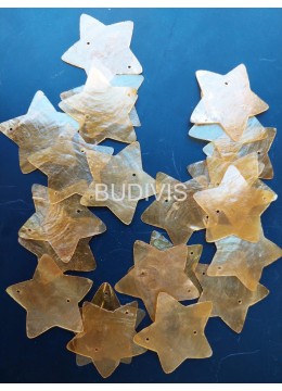 wholesale bali Customized Shape Raw Seashell Capiz, Material