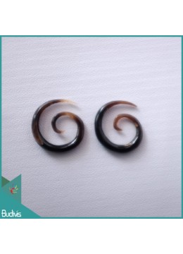 Image of Best Seling  Bali Spirall Black Horn Body Piercing Costume Jewellery Source: CV.Budivis in Bali, Indonesia