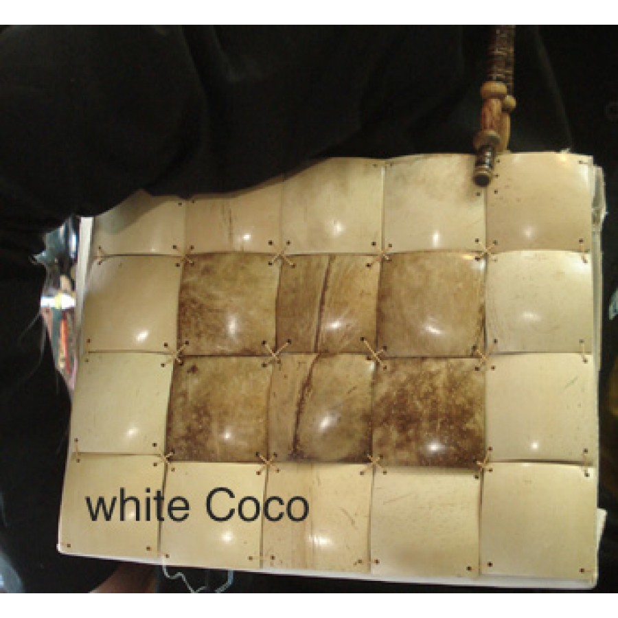 Coco Bag Beaded Handle
