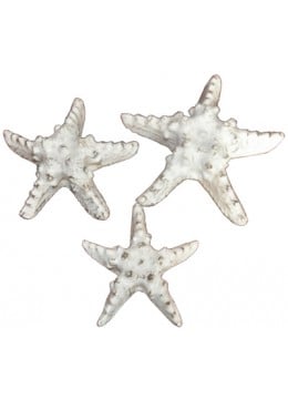 wholesale bali Starfish set of 3 Home Decor, Home Decoration