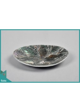 wholesale bali Collections Seashell Plate Decorative Craft, Home Decoration