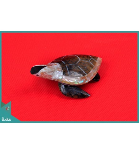 Wholesale Seashell Turtle Pendants Decorative Direct Artisans