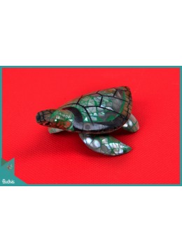 wholesale bali Top Selling Seashell Turtle Pendants Decorative Manufacturer, Home Decoration
