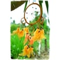 Dream Catcher, Dreamcatcher, Dreamcatchers Hanging Ornament