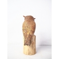 Realistic Wooden Bird Horned Owl