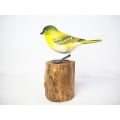 Realistic Wooden Bird Cipoh Kacat