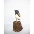 Realistic Wooden Bird American Redstart