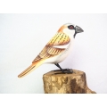 Realistic Wooden Bird Great Sparrow