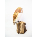Realistic Wooden Bird Tasmanian Masked Owl