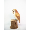 Realistic Wooden Bird Tasmanian Masked Owl