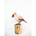 Realistic Wooden Bird Bohemian Waxwing