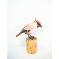 Realistic Wooden Bird Bohemian Waxwing