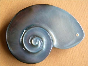 Seashell Pendant Accessory