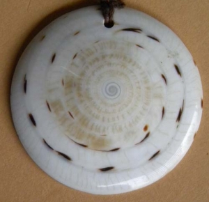 Shell Pendant Accessory