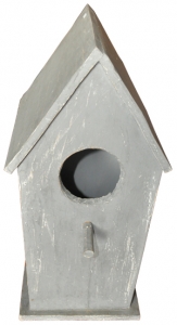 Bird house Bird House