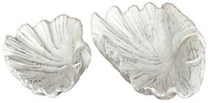 SeaSeashell set of 2 Decor