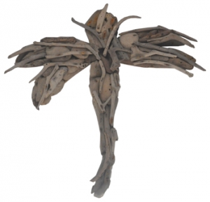 Butterfly Recycled Driftwood